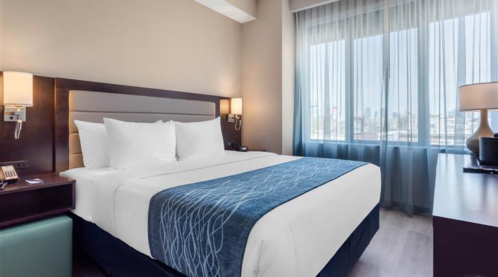 new-york-hotel-comfort-inn-prospect-park-brooklyn-standaard-kamer-12222022112135-727x405