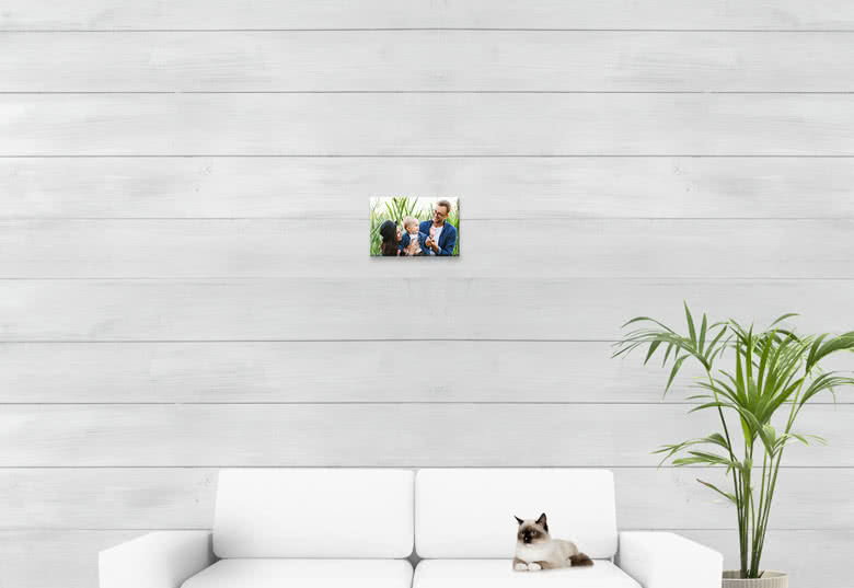 canvas-variantcarrousel-30x20