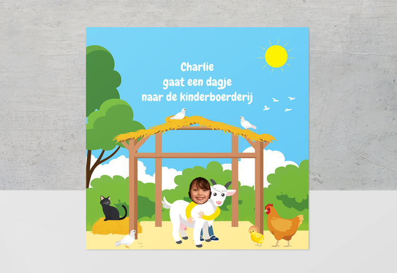 format-nl-farm-boys-girls-20cm