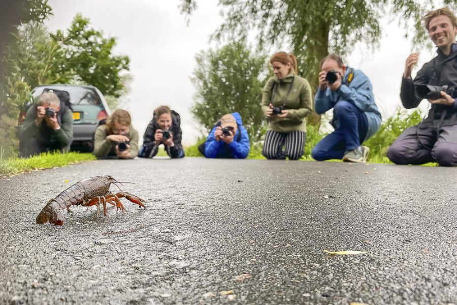 0-1119130928.big