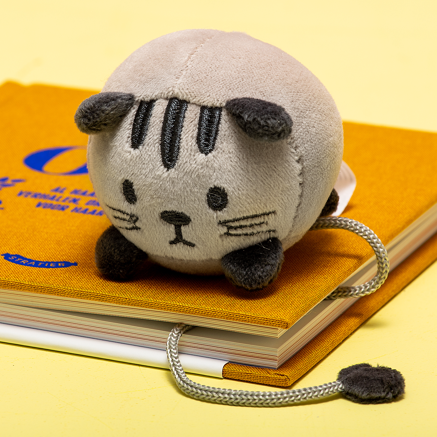 151252-Boeklegger-Kitty-Balvi-1