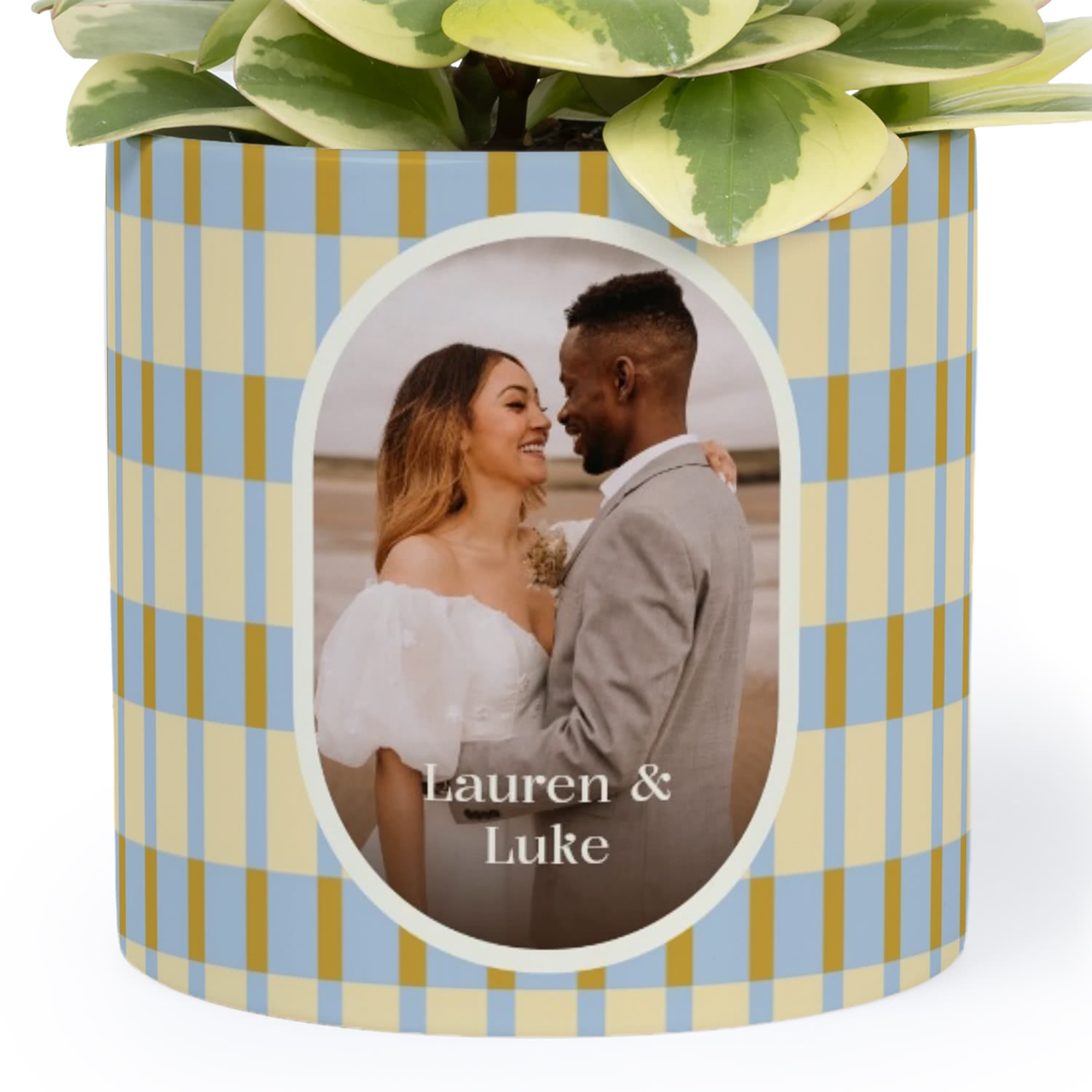 flowerpot-14cm-feed-packshot-1x1
